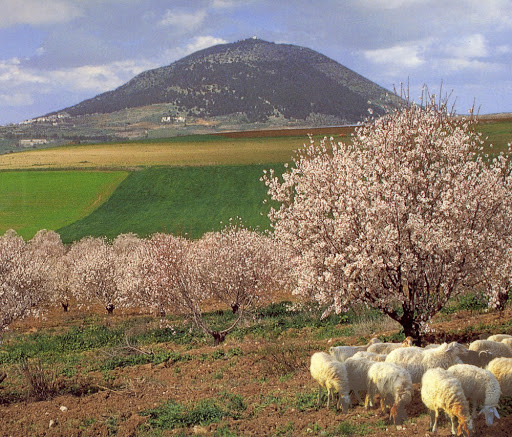 Яблочный Спас 2023: что означает этот праздник, духовный смысл