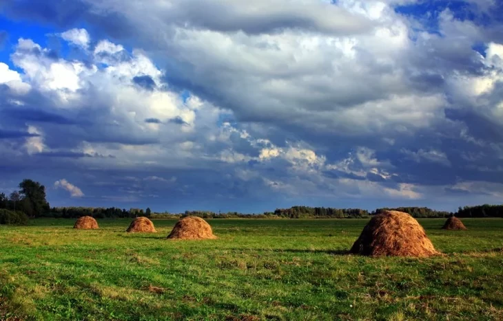 Интересные факты о снопах сена