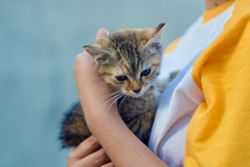 Как быть, когда ситуация кажется безвыходной - Новая общественная газета