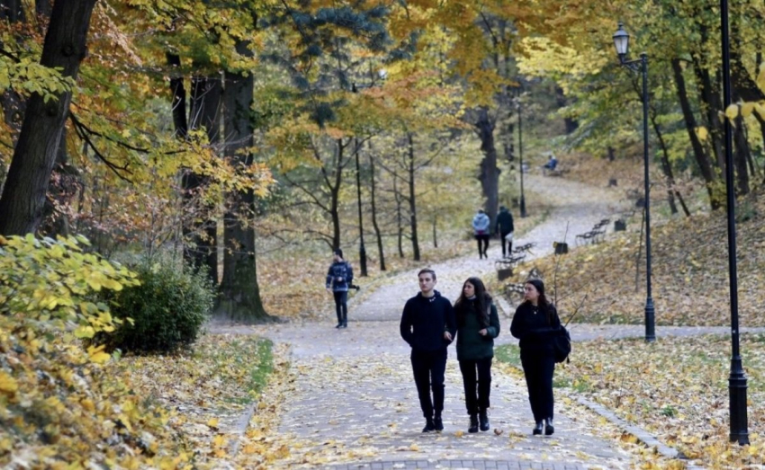 Осенний щит: как укрепить иммунитет с минимальными финансовыми затратами