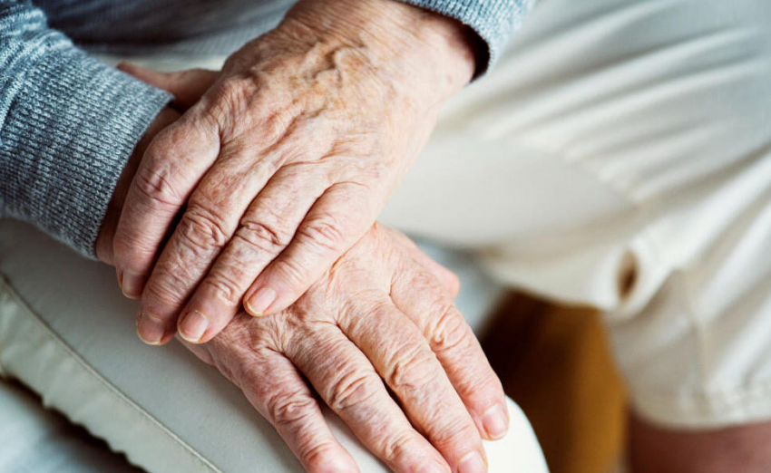 Ученые назвали полезную для здоровья мозга ягоду