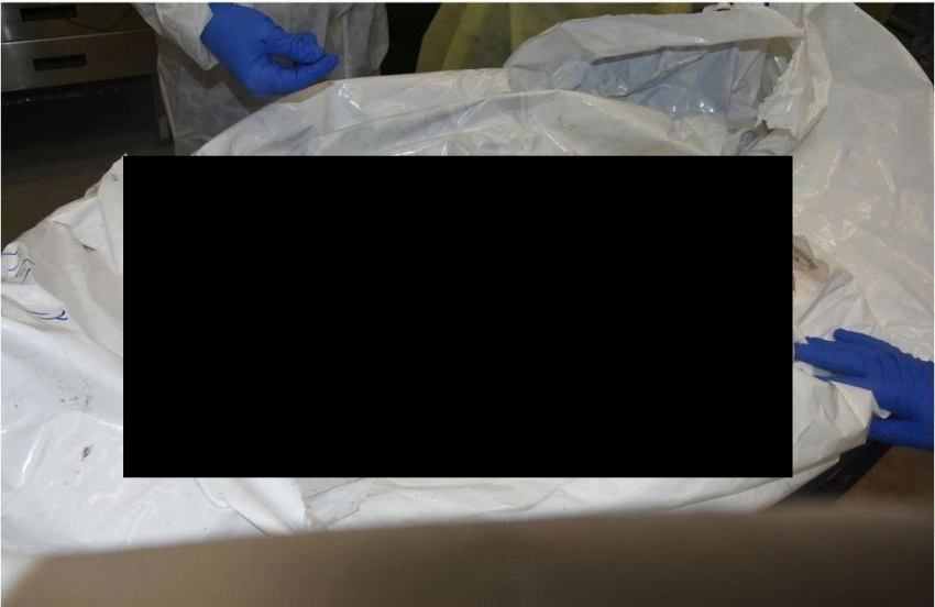 Израиль опубликовал фотографии младенцев, сожженных боевиками ХАМАС