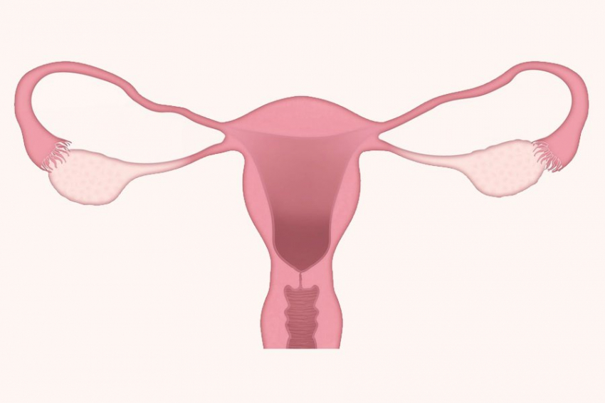 AHA: болезненные менструации связаны с риском заболеваний сердца